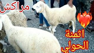 سوق الحولي 2021 🐐 فين وصلات الاثمنة في سوق الأربعاء مراكش