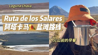 智利旅行Vlog｜在活火山下吃早餐是种什么样的体验？Ruta de los Salares Vlog ｜San Pedro de Atacama ｜Chile travel｜Laguna Chaxa