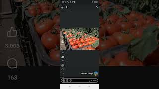 منظر جميل الطماطم ♥️♥️♥️♥️