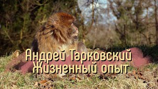 Андрей Тарковский - жизненный опыт