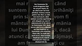 Romani 5:8-10 #Biblia #Biserica #Hristos #versetulzilei