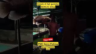 Mancing Full Gurame//Bonus 20kg #pemancingangurame #mancinggurame #pemancingangeri #mancing