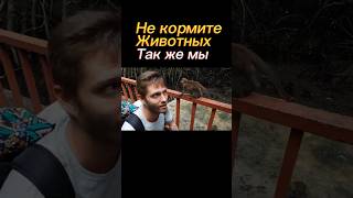 До конца! Мы все испугались объезяны и просто отдали ей ей фрукты