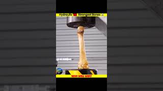 😱 Hydraulic Press Vs 🤔 Animal Bones Of Different Countries #shorts #m4tech #whatif  #anas4shorts