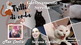 Gattosamente Serena - con Serena Pattaro