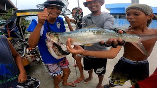 Nagsilabasang ang mga malalaking isda pag katapos ng malakas na lindol ..!!?