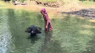 Beautiful rivers and nature | you can see fish in clean river water |