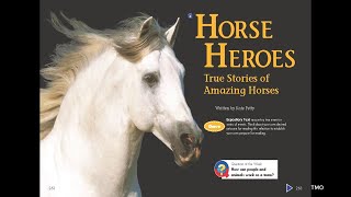 Horse Heroes True Stories of Amazing Horses