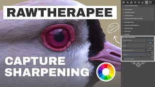 Capture Sharpening in Rawtherapee (Tutorial)