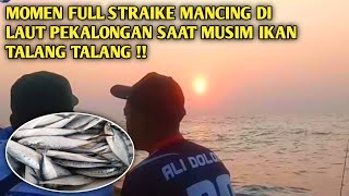 momen full straike mancing ikan talang talang di rumpon warna agung pekalongan !!