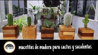 macetitas de madera para cactus y suculentas