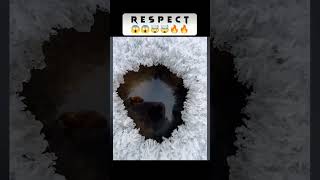 respect shorts