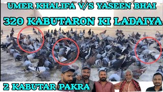 2 kabutar pakra| | Umar khalifa V/S yaseen bhai | 320 new kabutaron ki ladaiya | desi Gola kabutar