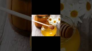 Pure honey from Little Bee Home Delivery HisarCity