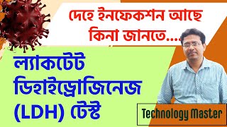 Lactate Dehydrogenase (LDH) Test | ল্যাকটেট ডিহাইড্রোজিনেজ টেস্ট