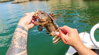 Pescamos e Comemos o mais VENEN0S0 DO MUNDO - Pesca de Pedalinho