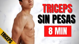 TRICEPS en CASA SIN PESAS para PRINCIPIANTES💪🏼 // EJERCICIOS para TRICEPS SIN EQUIPO en 8 MIN🔥