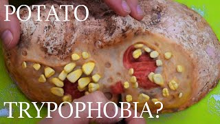 Potato Trypophobia? Best Trypophobia Images of 2020