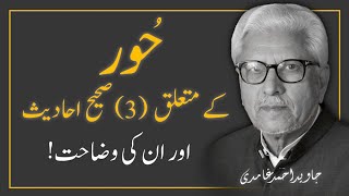 EXPLANATION of (3) AUTHENTIC AHADITH Regarding 'HOOR' ||  JAVED AHMAD GHAMIDI