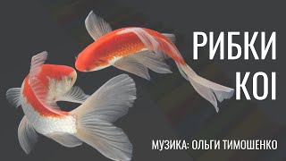 Рибки коі | Ольга Тимошенко