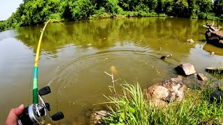 summer creek fishing  i caught the ugliest fish in the creek