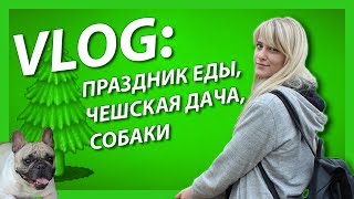 Моя ужасная история: ШОК! МЕНЯ УВЕЗЛИ В ЛЕС В ЧЕХИИ