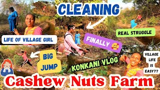 Village Life Of Goa 🌴|| we clean our cashew Nuts Farm🥰|| #konkanivideos #goanvlogger