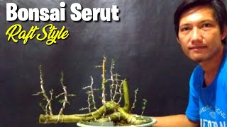 Konsep Awal Membuat Bonsai Serut Raft Style Dari Bahan Sederhana Menjadi Indah