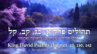 פרקי תהילים מיוחדים, לישועה ופרנסה | Special King David Psalm, for salvation and livelihood