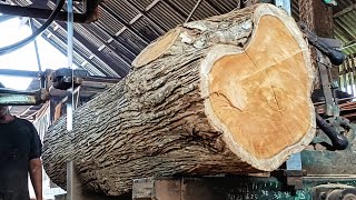 Extraordinary!! Super teak sawmill that displays beauty