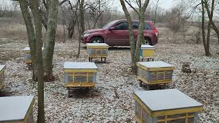 Beekeeping.Середина зимовки.