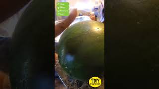 Trying Yellow Watermelon For First Tine