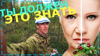 БРУСНИКА/НА СТРАЖЕ ЗДОРОВЬЯ ВАШЕГО ОРГАНИЗМА/ЗАМЕДЛЕНИЕ СТАРЕНИЯ!