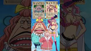 Wellerman Bounty •-• Pirate that have a Child ( Familia ) Part 1 👒#onepiece #edit #family