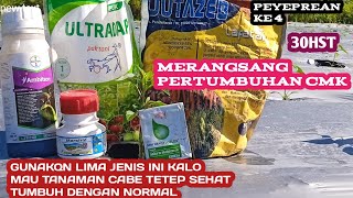 PEYEMPEROTAN UNTUK MENYUBURKAN CMK TM999 YANG KE 4 KALINYA (30HST)