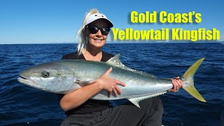 Yellowtail Kingfish on the Gold Coasts 36s