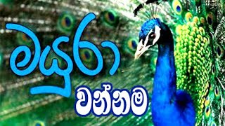 Peacock Dance | මොණර නැටුම