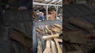 Getting More Firewood From the Farm!