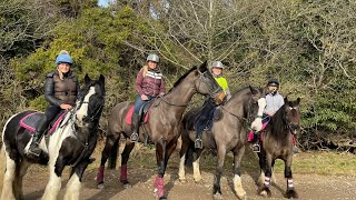 Let’s ride!! #equestrian #horsevlog