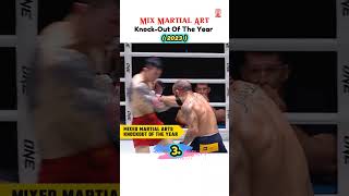 Mix Martial Art Knock Out Of The Year