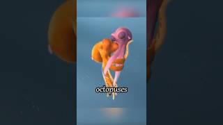 Why are these two small octopuses so powerful?#shorts #short #animation