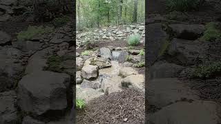 A Waterfall is Born #nature #waterfall #aquascape