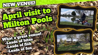 Milton Pools Fishery | 15/4/23 | Livestream - Part 2