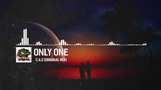 C . A . O - Only One ( Original mix )