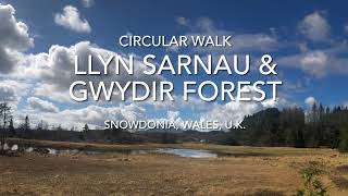 Llyn Sarnau & Gwydir Forest Circular Walk, Snowdonia, Wales, U.K.