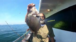 New york Porgy fishing 🐟on Charter Boat 💥💫2022 #porgyfishing #brooklynfishing