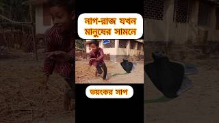 নাগ-রাজ যখন মানুষের সামনে আসে | #nagin #snackvideo #sap#nagindance #shorts #shortsfeeds 2024