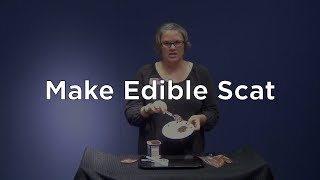 Make Edible Scat (2nd - 5th Grade)