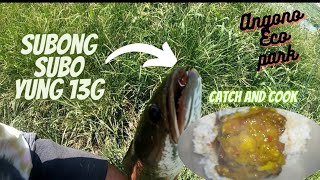 CATCH AND COOK | MASARAP NA LUTO SA DALAG?  BEST SNAKEHEAD SPOT