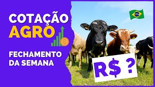 Cotação de Preços - 11/06/2022 - PORCO - BOI - FRANGO - MILHO - SOJA - CAFÉ - BEZERRO